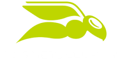 Logo hornet security